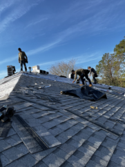 Expertly installed roofs by True Force Roofing, showcasing quality craftsmanship and superior materials for homes in Gainesville, Florida.